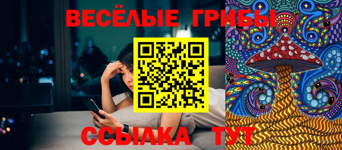 Галлюциногенные грибы ЛСД  где купить наркоту  Кызыл  Вход с VPN 